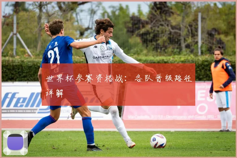 世界杯参赛资格战:各队晋级路径详解