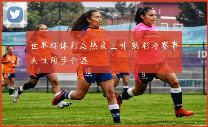 世界杯体彩店热度上升 购彩与赛事关注同步升温